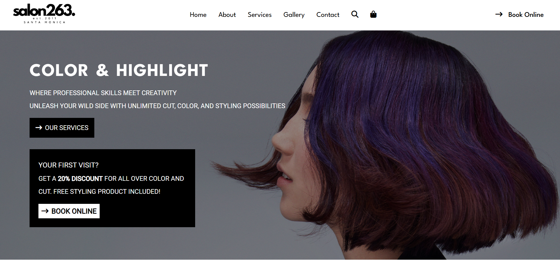Link to Salon 263 site